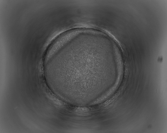 X0000091101215200708271310