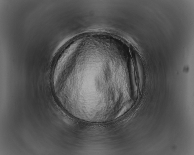 X0000091101216200708271310