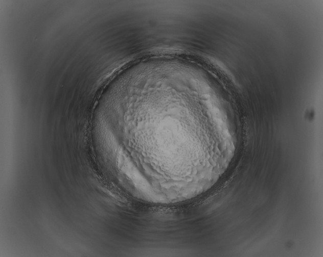 X0000091101217200708271310