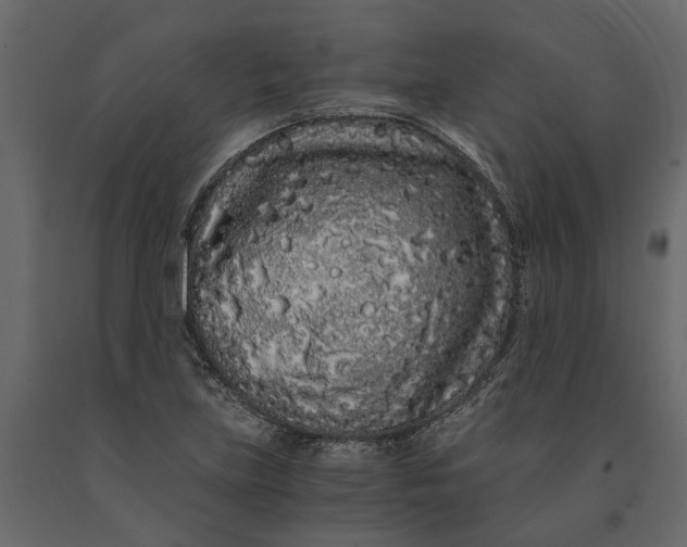 X0000091101219200708271310