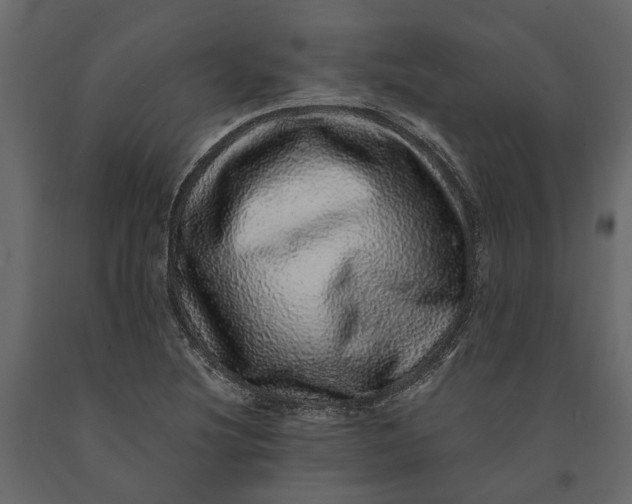 X0000091101220200708271310