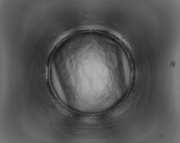 X0000091101221200708271310