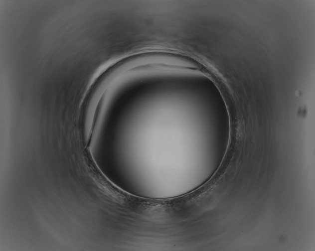 X0000091101222200708271310