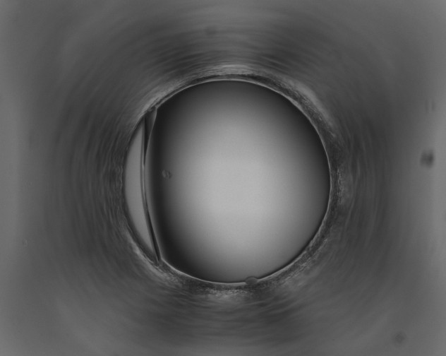 X0000091101225200708271310