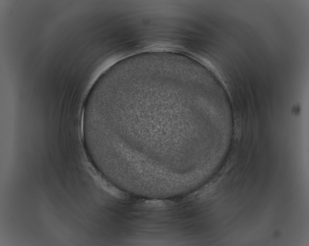 X0000091101227200708271310