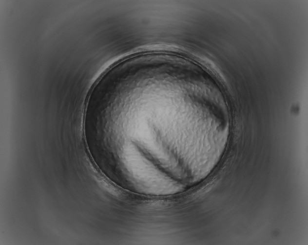 X0000091101228200708271310