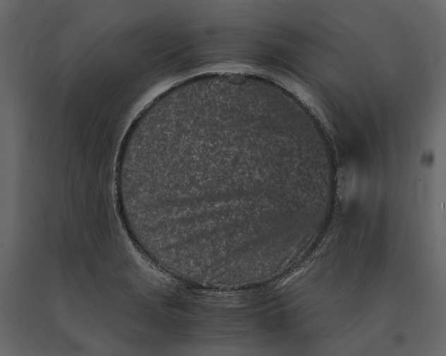 X0000091101229200708271310