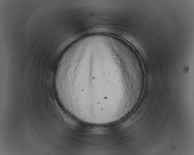 X0000091101233200708271310