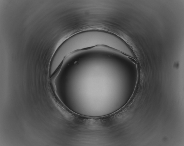 X0000091101234200708271310