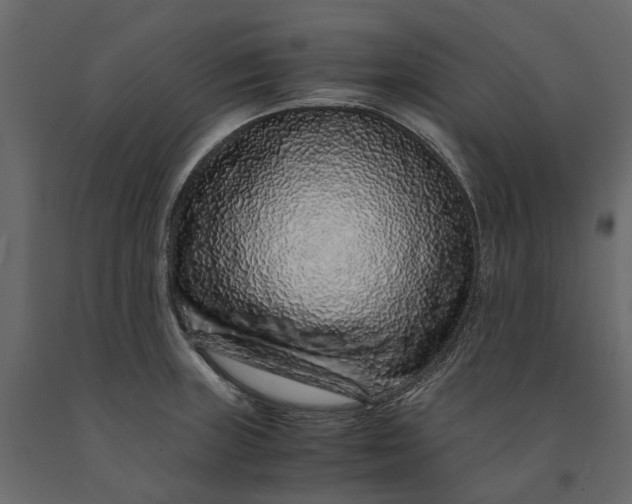 X0000091101235200708271310