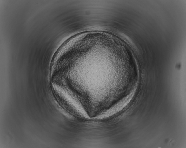 X0000091101236200708271310