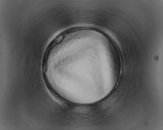 X0000091101237200708271310