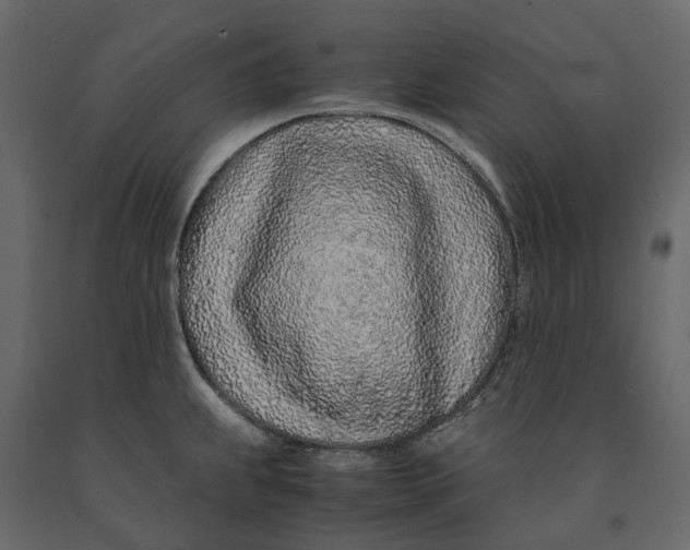 X0000091101239200708271310