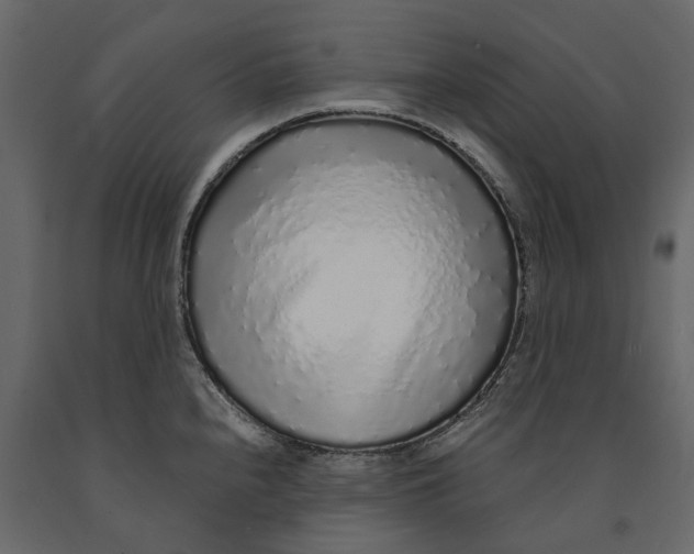 X0000091101240200708271310