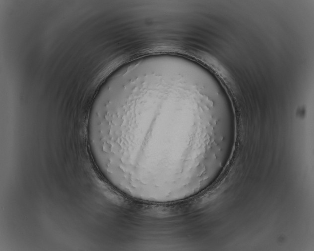 X0000091101241200708271310