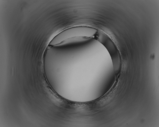 X0000091101242200708271310