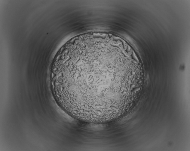 X0000091101243200708271310