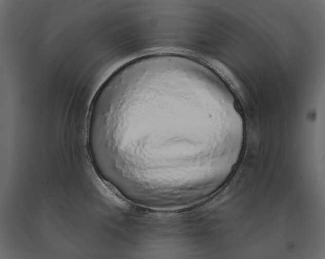 X0000091101244200708271310