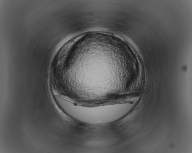 X0000091101245200708271310