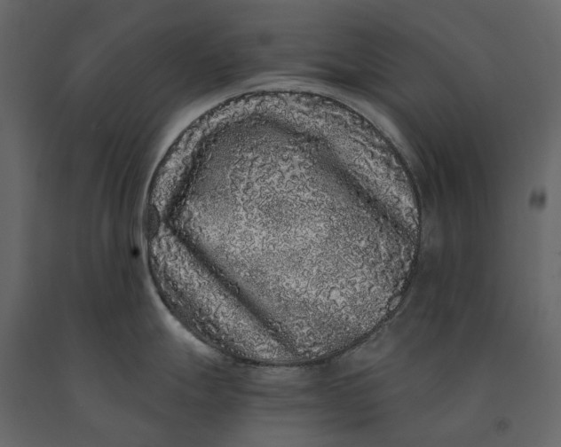 X0000091101247200708271310