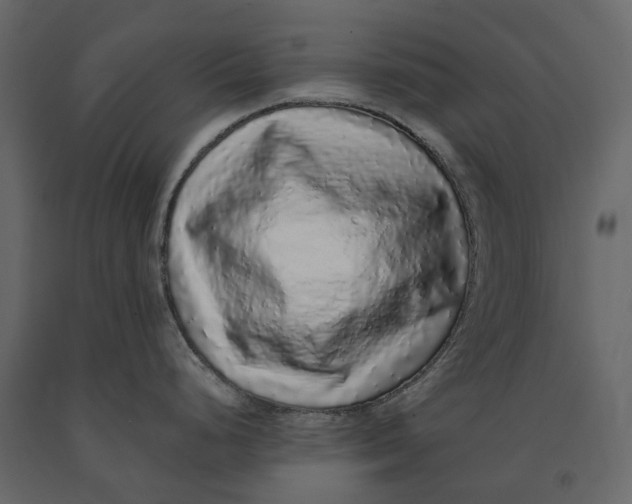 X0000091101248200708271310