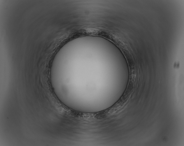 X0000091101249200708271309