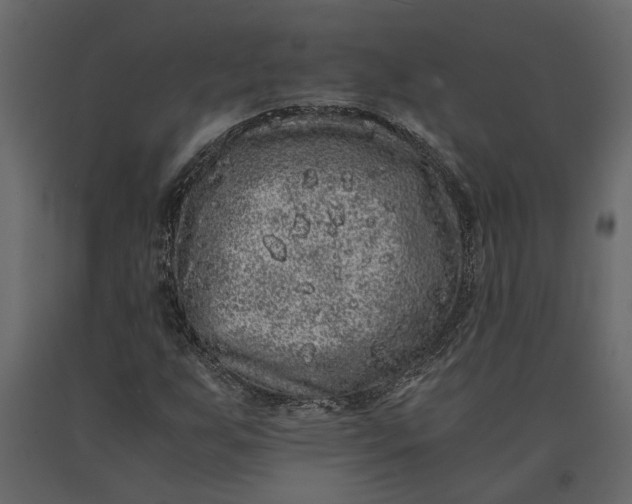 X0000091101255200708271309