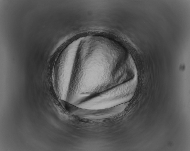 X0000091101256200708271309