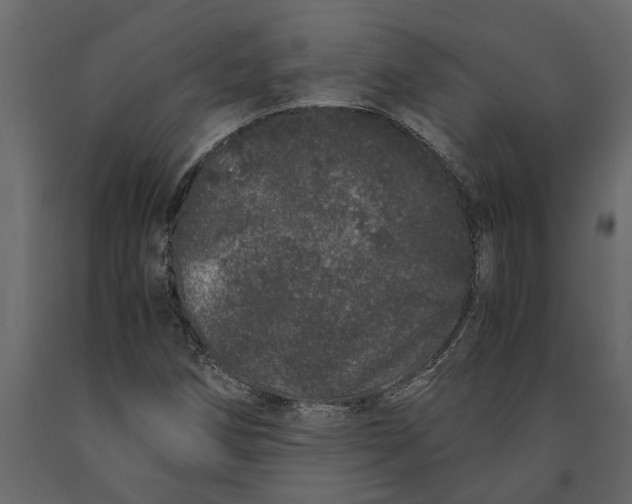 X0000091101258200708271309