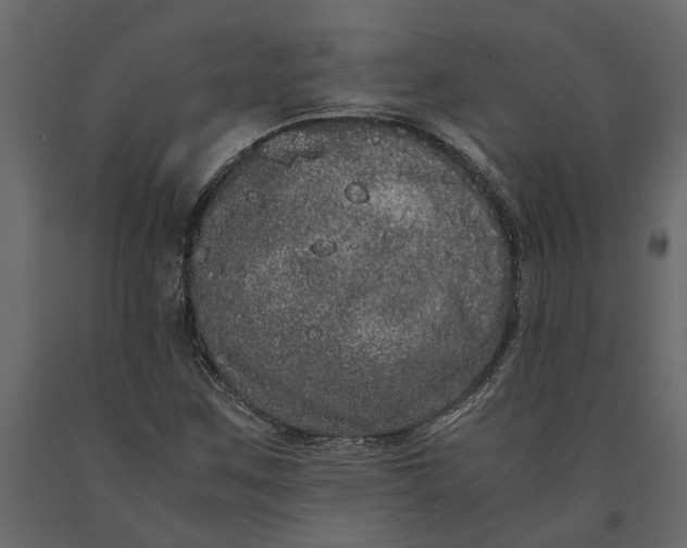 X0000091101259200708271309