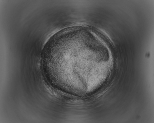 X0000091101260200708271309