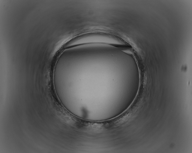 X0000091101261200708271309