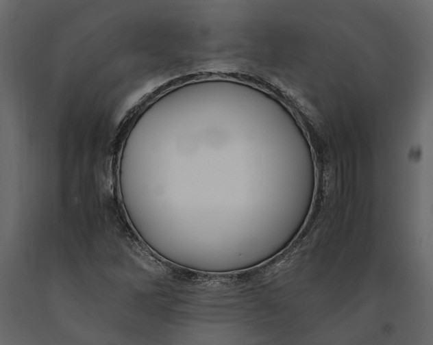 X0000091101262200708271309