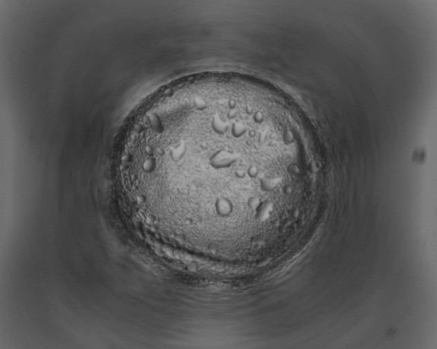 X0000091101263200708271309