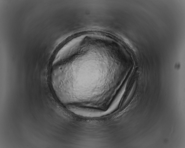 X0000091101264200708271309