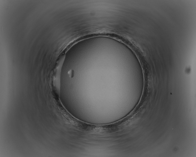 X0000091101265200708271309