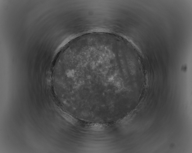 X0000091101266200708271309