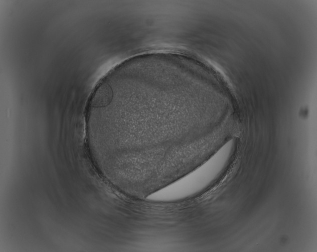 X0000091101267200708271309