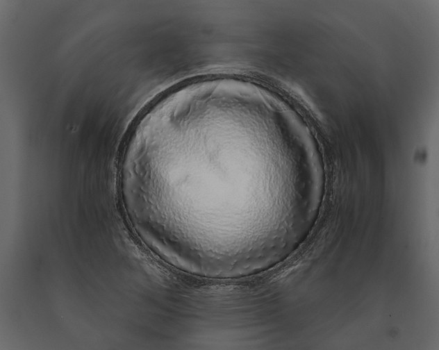 X0000091101268200708271309