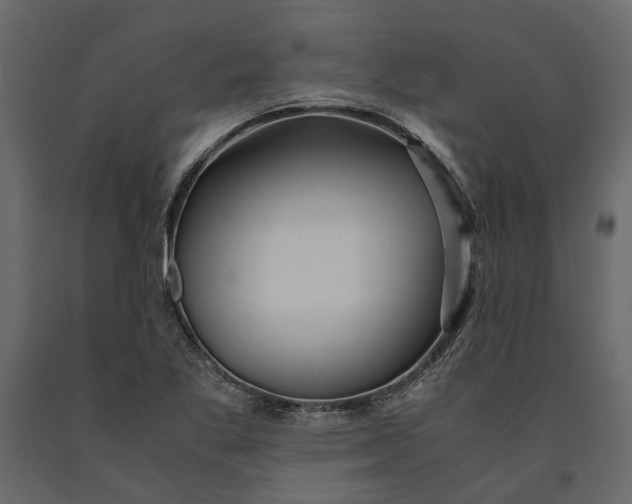 X0000091101269200708271309