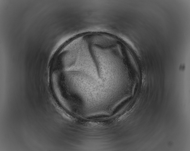 X0000091101270200708271309