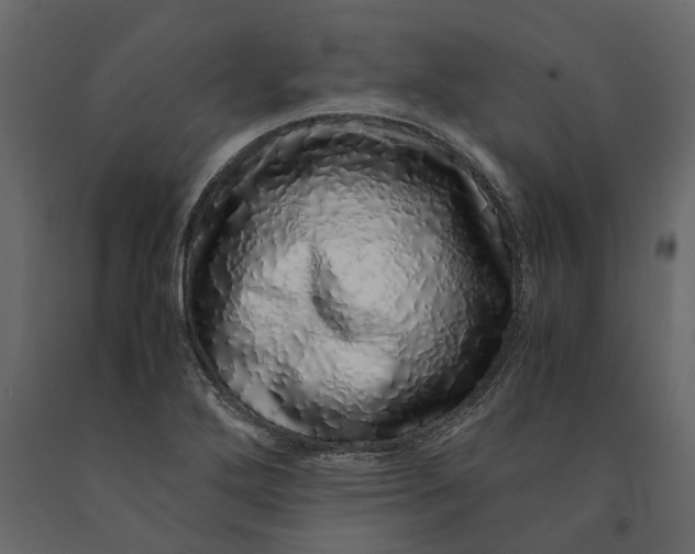 X0000091101272200708271309