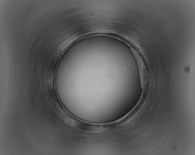 X0000091101273200708271309