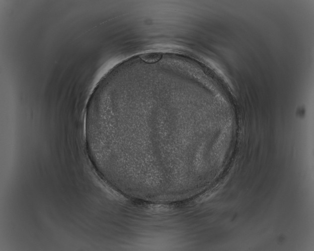 X0000091101275200708271309