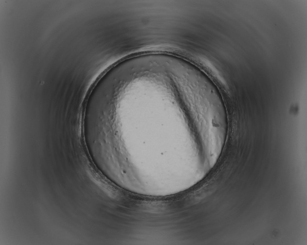 X0000091101276200708271309