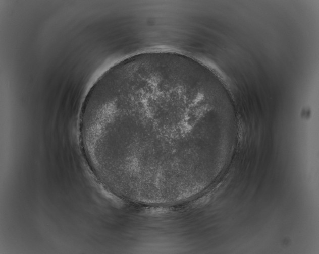 X0000091101278200708271309