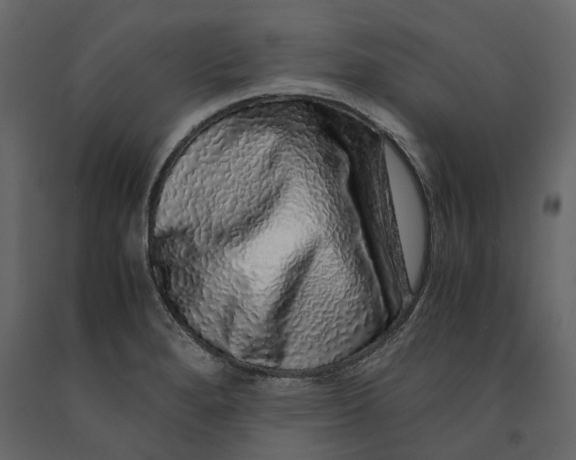 X0000091101280200708271309