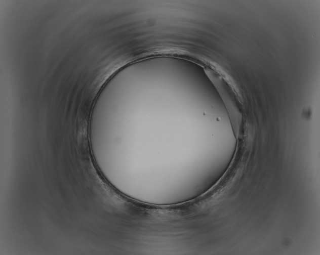 X0000091101281200708271309