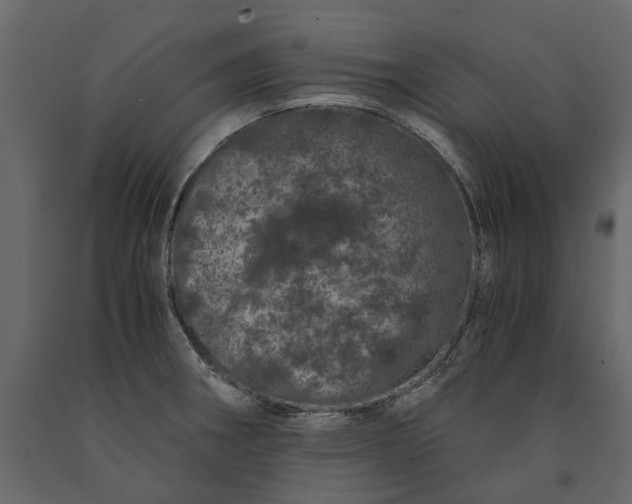 X0000091101282200708271309