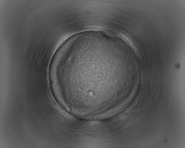 X0000091101283200708271309